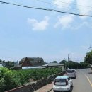 장용수 농장 이미지