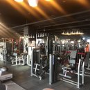 ELITE FIT 24 이미지