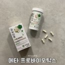 비타스프링