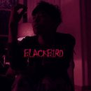 [뇽토리] 블랙버드(Blackbird) 프롤로그 이미지