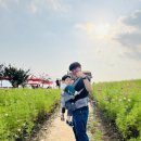 팜랜드동물병원 | 하나... 말아야 하나... (Feat. 안성 팜랜드, 식당, 인플루엔자 백신 후기, 추석 연휴에 약국을 찾을때...)