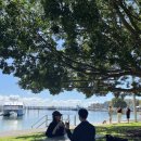 차go치go MotorS | 시드니 태교여행 6일차 포트스테판 실속 투어 사막 샌드보딩 와인 시음 까지 즐겨요