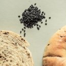 히피스베이글 이미지