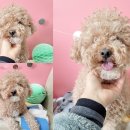 포방림