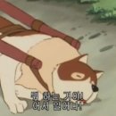 파트라슈 네이버블로그