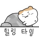 렛츠고강화캠핑 이미지