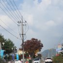 흥업뼈다귀해장국 이미지