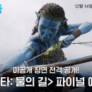 아바타 2 이미지