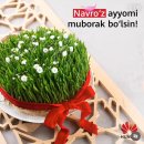 NAVRUZ(나부르즈) | [우즈베키스탄 여행] 나우르즈 기간에 안디잔 여행(3/20-21) 3부(나우르즈 제대로 즐기기!)