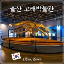 진고래 | 울산 고래박물관 후기 장생포 관광지 여행코스 추천