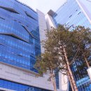 에스플렉스센터 이미지