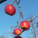 들샘농장 이미지