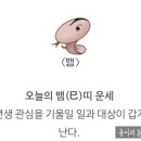 황금손세차 이미지