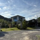 담양버치 이미지