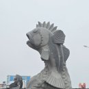 변산농장2 | 안산 풍도 야생화 보물섬 탐방후기 (배시간, 야생화 종류, 포토스팟)