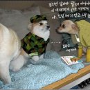 없음 이미지