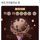 베스킨라벤스