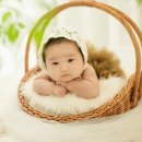 홍당무그린스튜디오 이미지