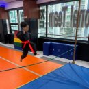 국가대표 본 태권도장 이미지