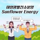 장미 태양광발전소 이미지