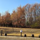 3호 근린공원(서사근린공원) 이미지