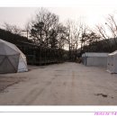 민들레울 이미지