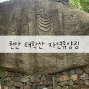 태학산매점