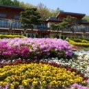 봉수산자연휴양림 이미지