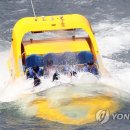 캠프통포레스트 이미지