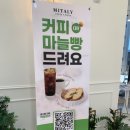 미태리파스타속초교동점 | 속초 파스타 맛집 미태리 속초교동점 속초미태리파스타 내돈내산리뷰