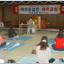 팔영농업협동조합 대서지점
