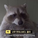 삶은 썰, 그저 풀어갈 뿐