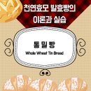 통밀빵 (Whole Wheat Tin Bread) 만들기 이미지