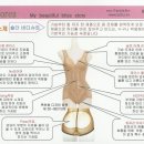 브리스건강기능성속옷 이미지