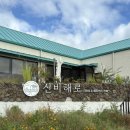 교보동읍점 | 길고 길었던 추석 연휴, 진도 밀양 창녕찍고 부산 서면에서 헌혈하기 🩸