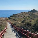 제주올레 이미지