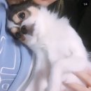 뚱수니와뚱도리 | 이모저모 토막토막!