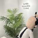 월영동199 | 나태 퀸 이나태의 6월 그리고 붓싼나들이 서면 요미우돈교자/마산 고씨고기/키크니일러바치기인부산...