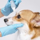 한마음 동물병원 이미지