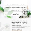 데일리 카 케어 이미지