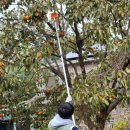 알토란사과체험마을 | 예산 청촌 시즌2 후기 2박3일 농촌 생활