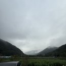 카카오펜션 | 제천 숙소 카카오펜션 여름호실 솔직후기