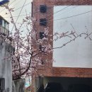 나를 알고, 인생을 연주하자(4차시) | 안녕하세요 3학년입니다