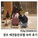 거울보는 강아지 | 경주 애견동반 호텔 키녹 강아지와 펫캉스