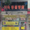 더독동물병원 이미지