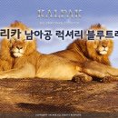 블루아프리카 이미지