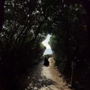 제주도 인생샷 포토존 남원큰엉해안경승지 한반도 찾기