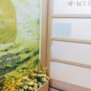 석바위VIP클리닉 이미지
