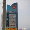 스카이라인투어 이미지