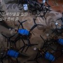 이제 이미지